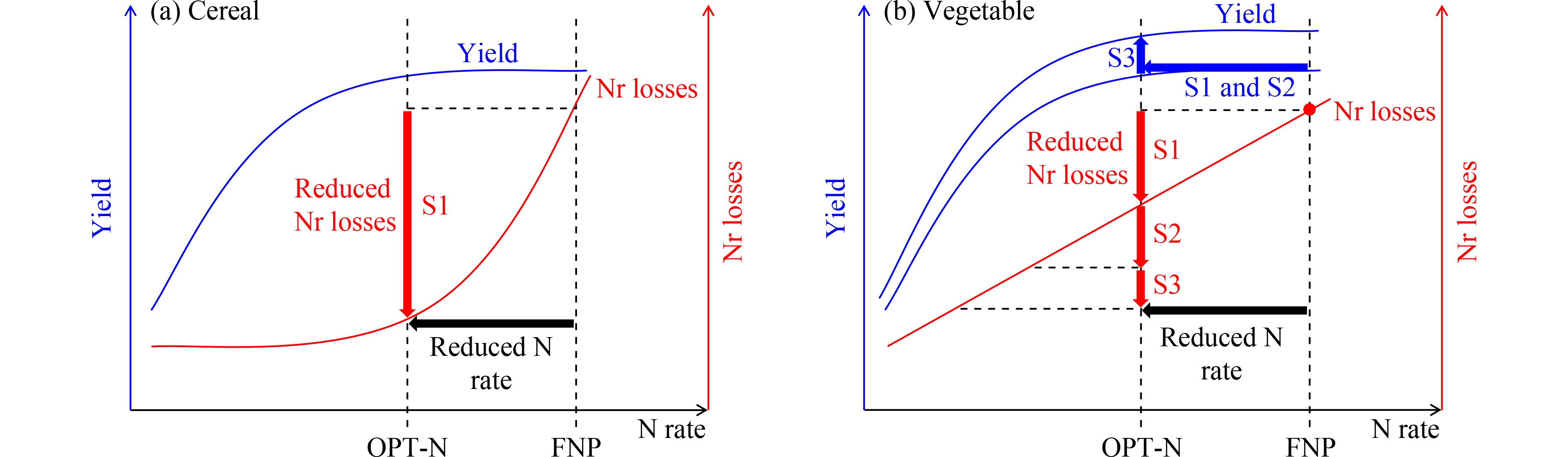 SUSTAINABLE NITROGEN MANAGEMENT FOR VEGETABLE PRODUCTION IN CHINA