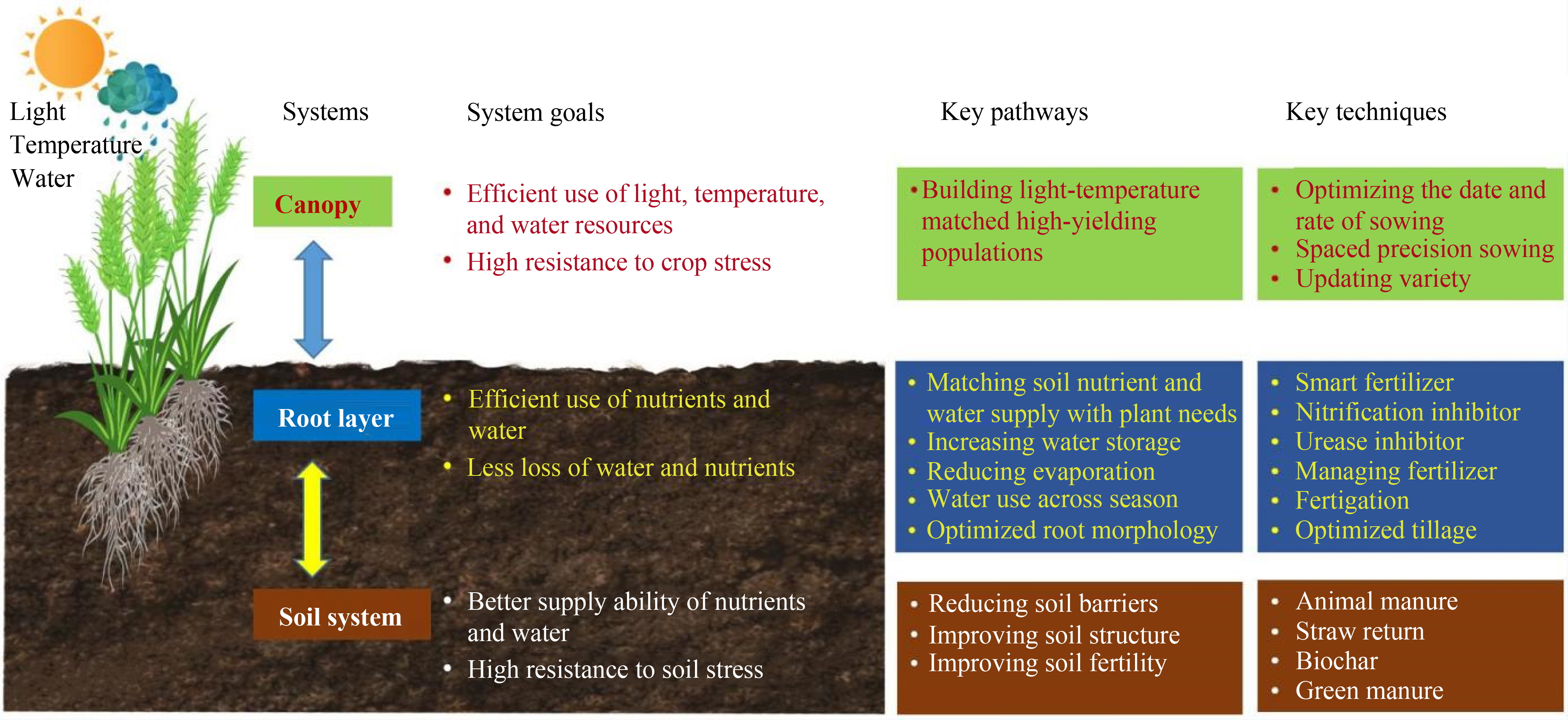 Innovation and application of technology models for wheat