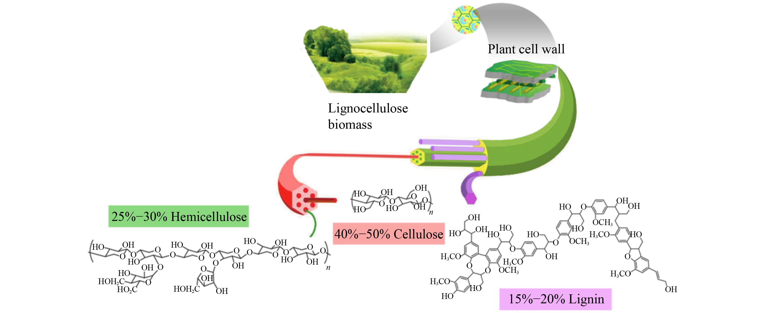 Optimizing biochar production: a review of recent progress in