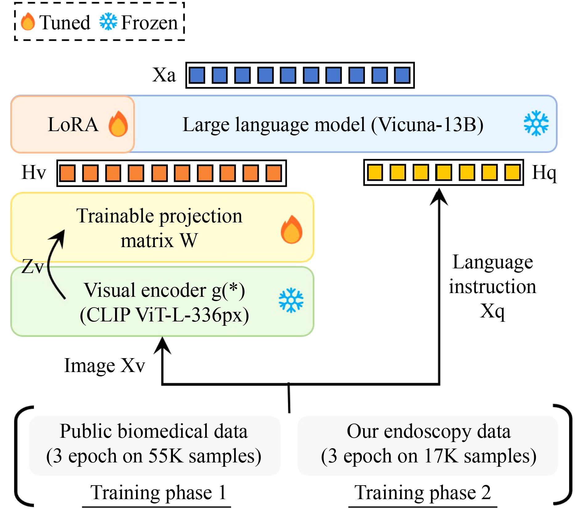 LLaVA-Endo: a large language-and-vision assistant for gastrointestinal ...