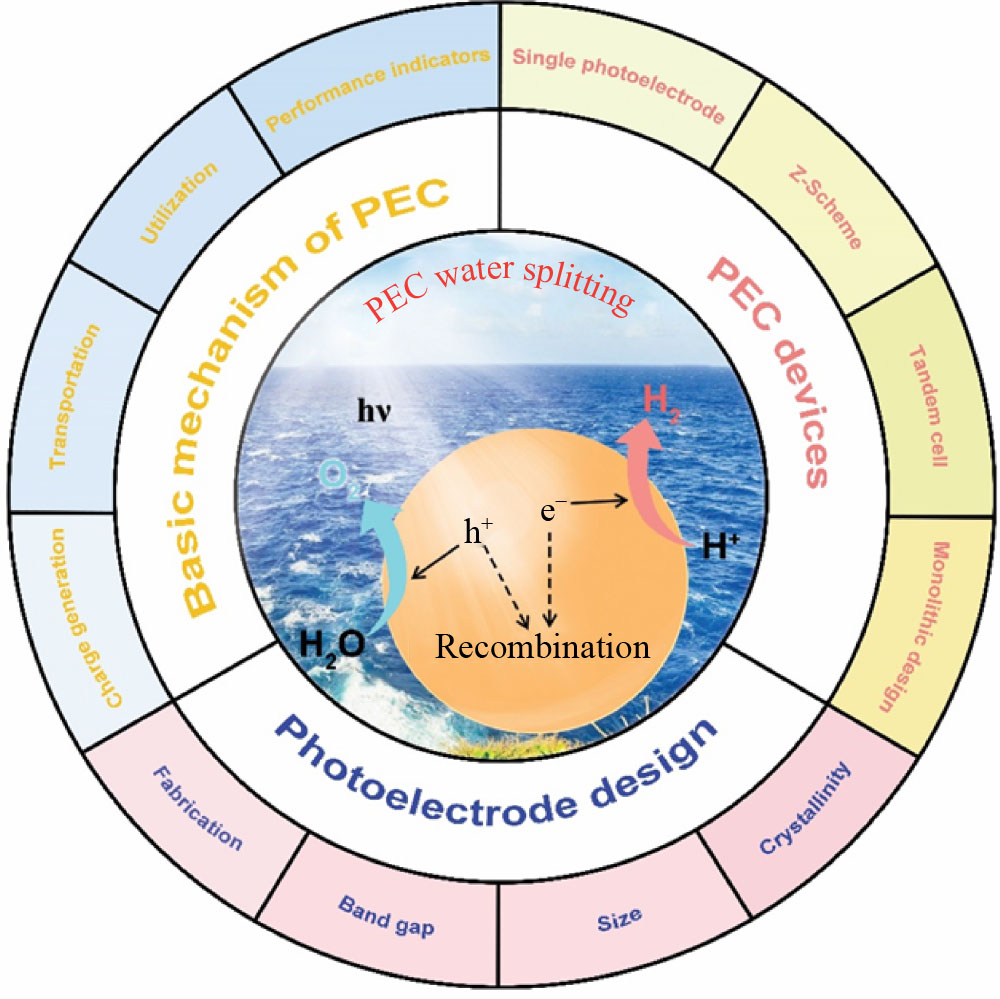 ｃｄ1 Facile Hydrothermally Synthesized a Novel CdS Nanoflower