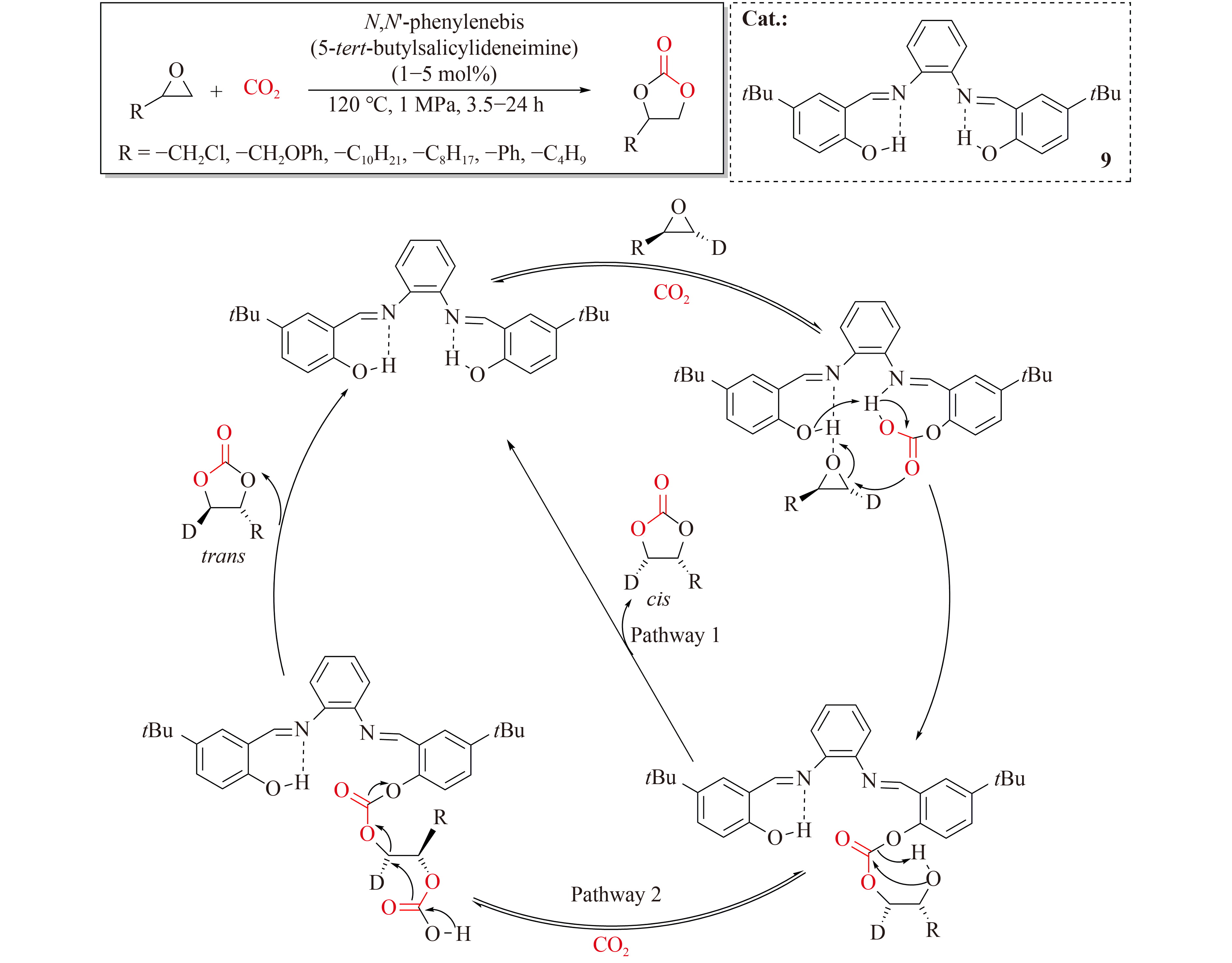 Recent advances in cycloaddition of CO<sub>2</sub> with epoxides