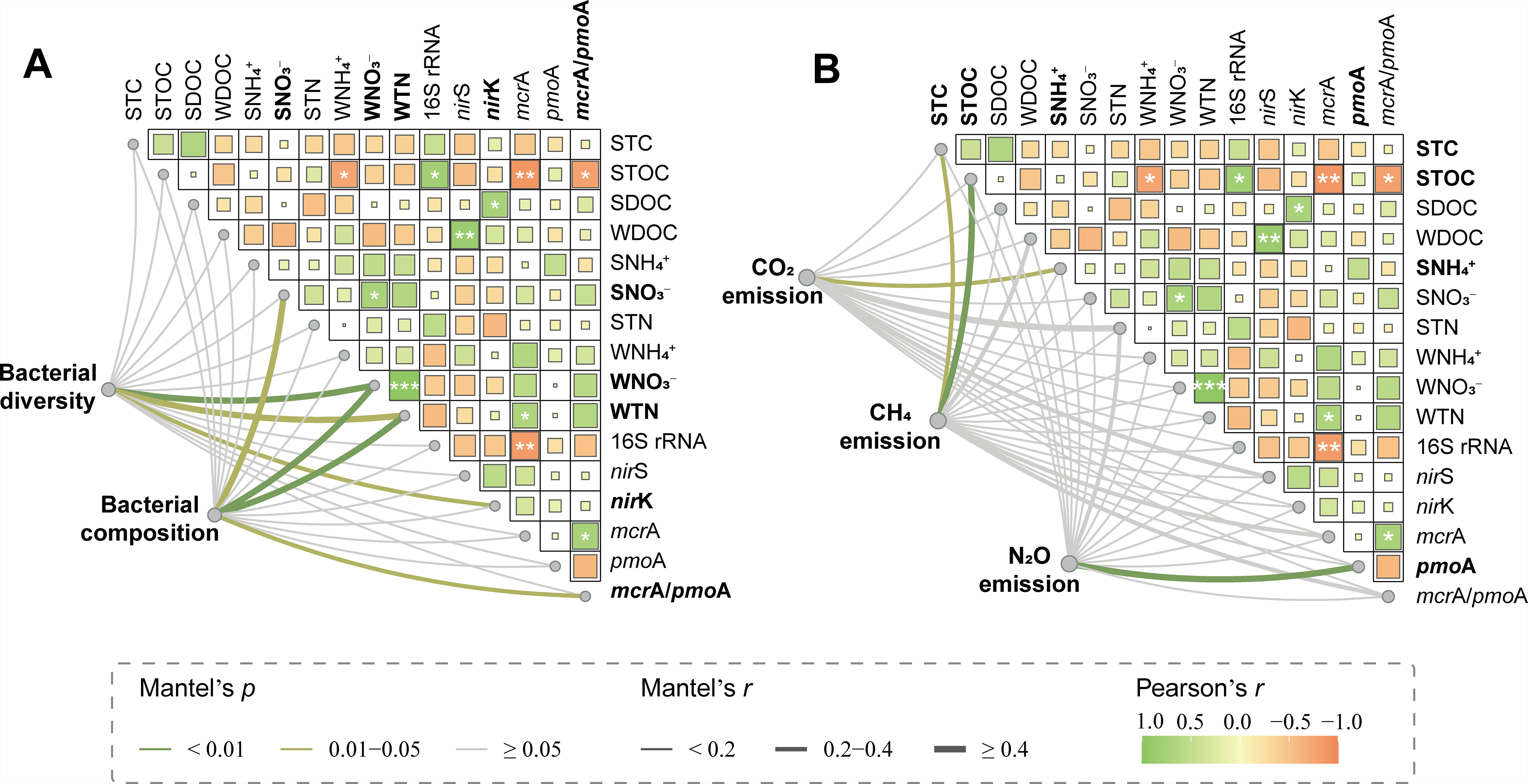 Unveiling the effects of two distinct microplastics on the