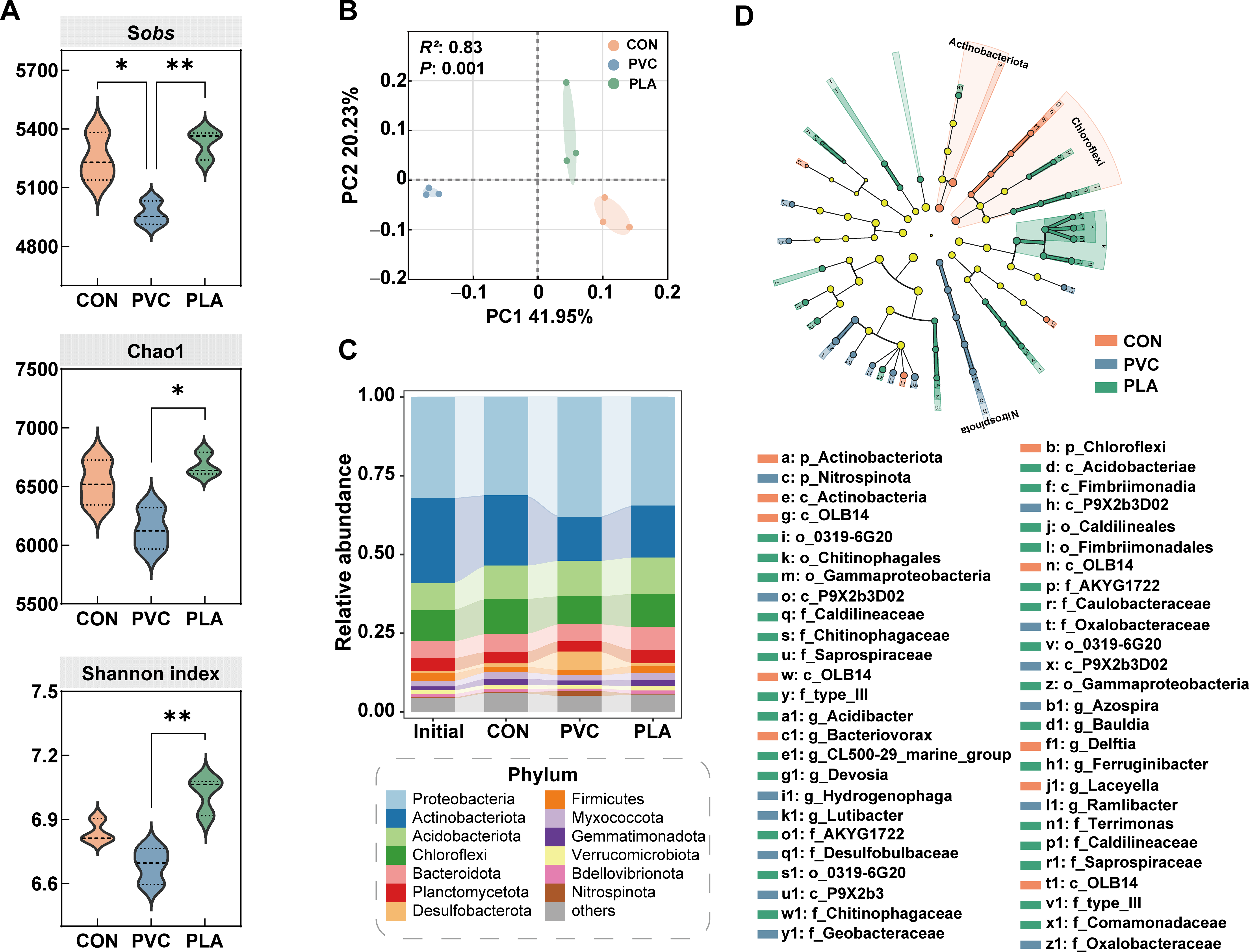 Unveiling the effects of two distinct microplastics on the