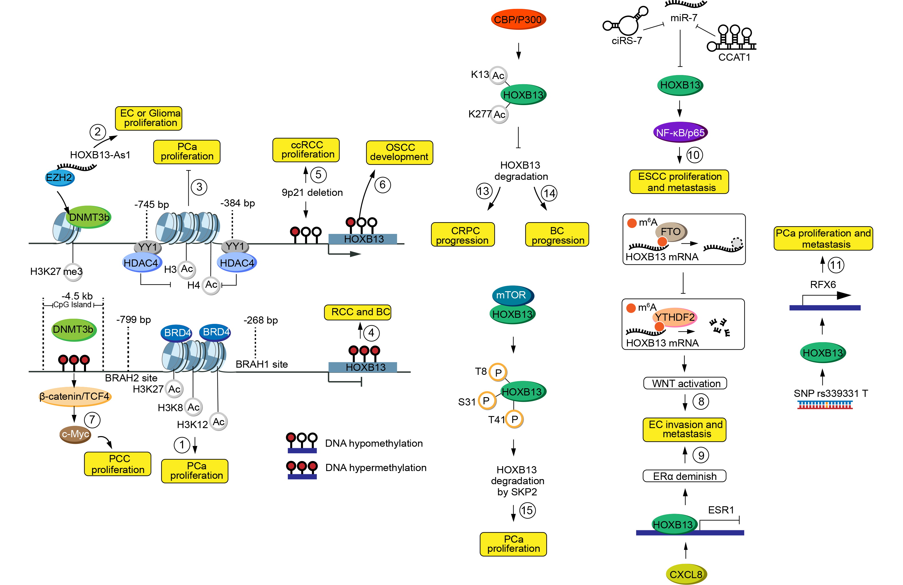 ロダン Amazon.com: Ruby Kisses Complete Hydration Skincare Set, Face