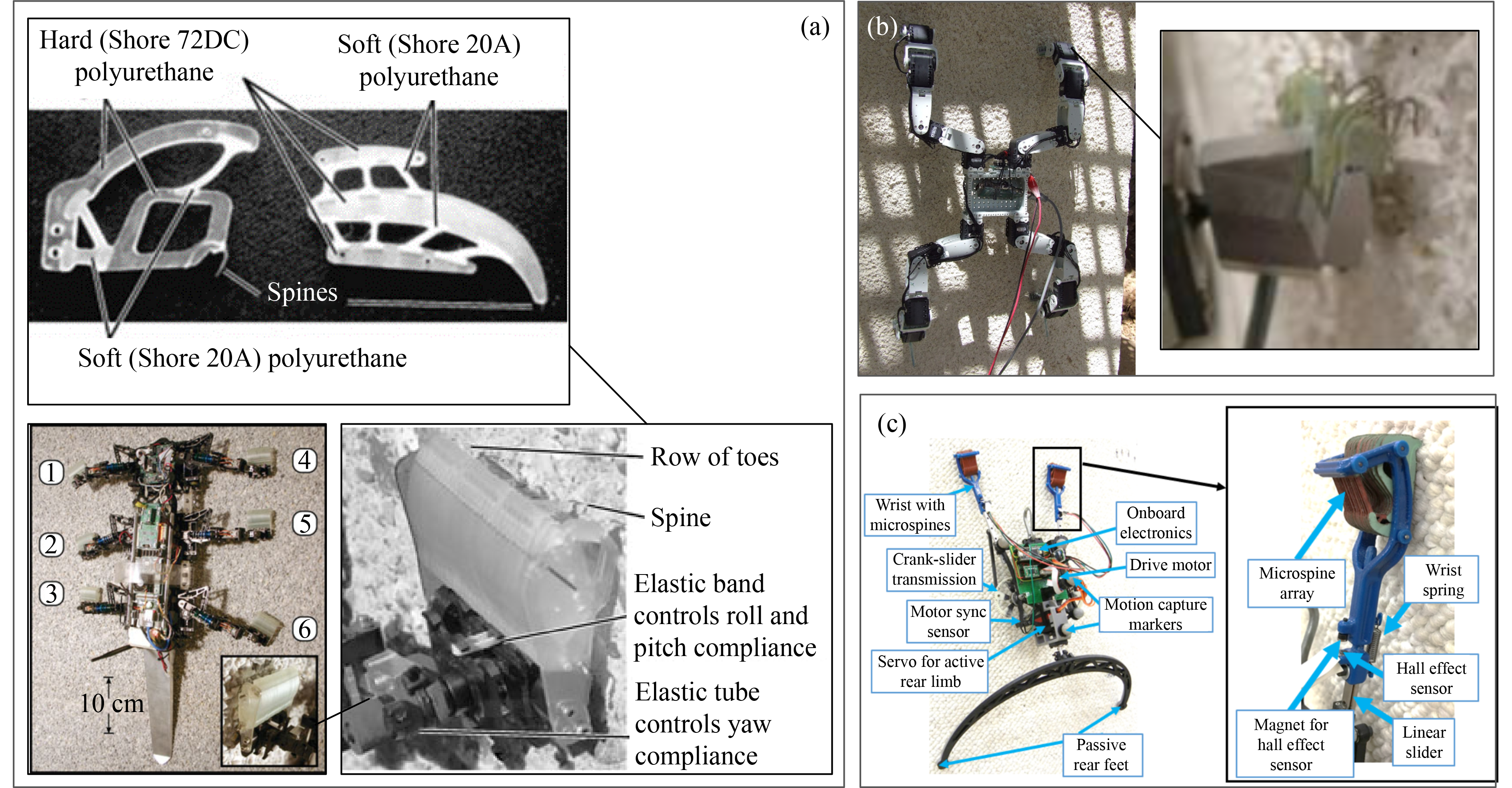 Learning from biological attachment devices: applications of