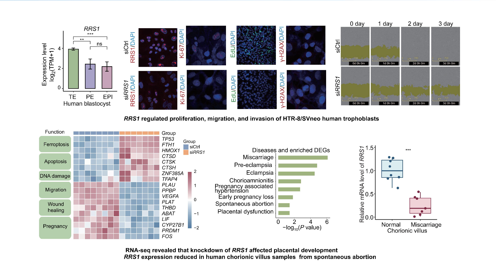 医学11-224-19-5 N_01.jpg